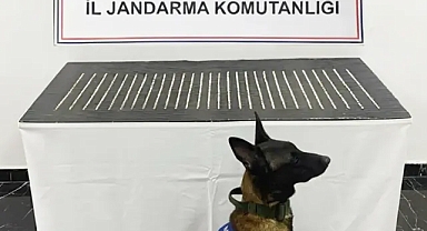 Şanlıurfa’da bir operasyon daha! 4 şahıs yakalandı!