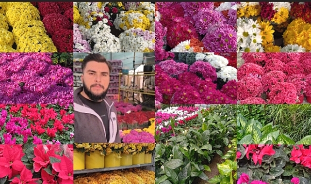 Şanlıurfa'da Çiçekçilerde 24 Kasım Öğretmenler Günü Mesaisi Başladı 