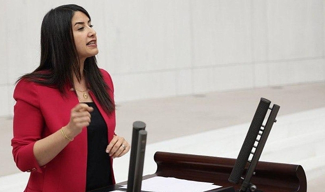 Şanlıurfa’daki Üç Sınır Kapısının Açılması İçin Meclis Araştırması Talebi