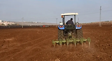 Siverek’te “Millet Meyve Bahçeleri” Projesinde İkinci Etap Başladı