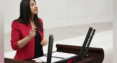 Vekil Ayan'dan Tepki: Turizm Kenti Urfa, Ulaşımda Orta Çağ’da!