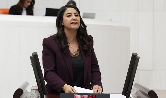 DEM Parti Şanlıurfa Milletvekili Dilan Kunt Ayan’dan Siverek İçin Sağlık Önergesi
