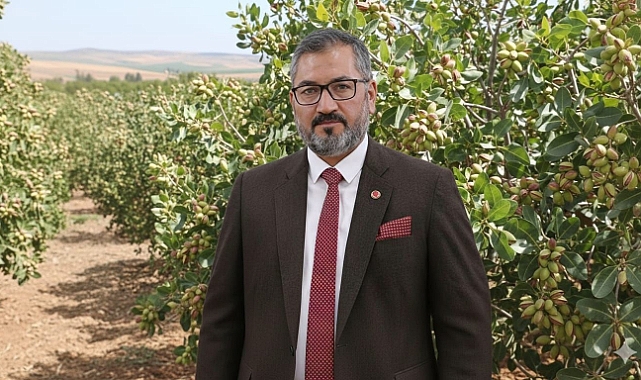 Fıstık Üreticilerine Kritik Uyarı