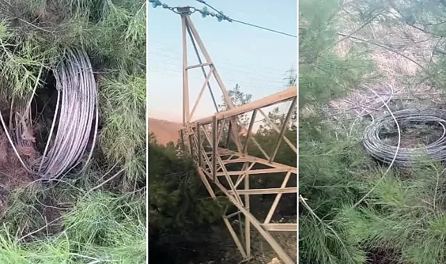 Şanlıurfa'da Direk Hırsızları Bölgeyi Elektriksiz Bıraktı