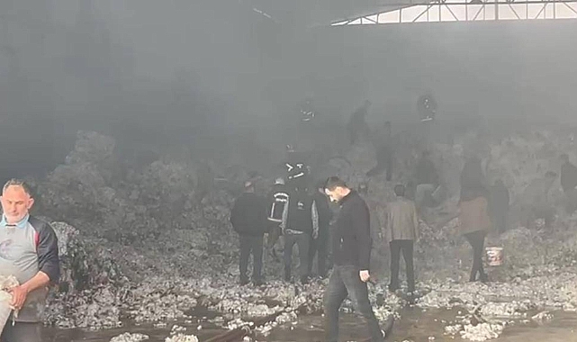 Şanlıurfa'da korkutan yangın!