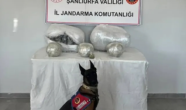 Şanlıurfa’da uyuşturucu operasyonu! 25 kilogram ele geçirildi