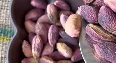 Şanlıurfa Fıstık Üreticileri Birliği Başkanı Akbaş’tan baronlara sert sözler!