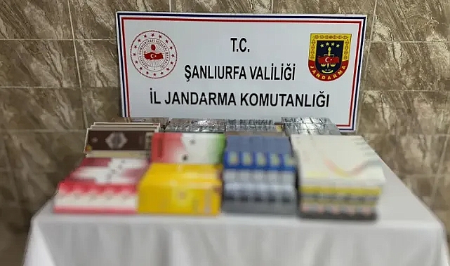Urfa'da ekipler harekete geçti!