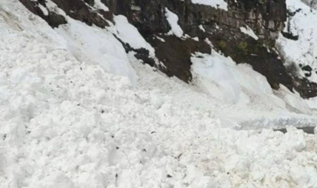 Artvin'de Meydana Gelen Çığ Felaketi Bir Çobanın Canını Aldı