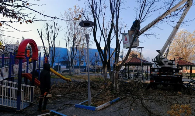 Birecik Belediyesi Parkları Yaza Hazırlıyor: Budama ve Yenileme Çalışmaları Sürüyor