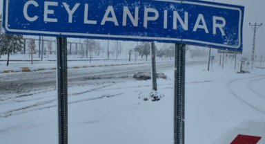 Ceylanpınar Kaymakamlığı Tarafından Yapılan Duyuru