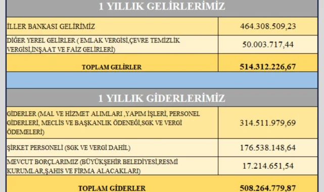 Çınar Belediyesi 2025 Yılı Gelir-Gider Tablosunu Şeffaf Şekilde Yayınladı