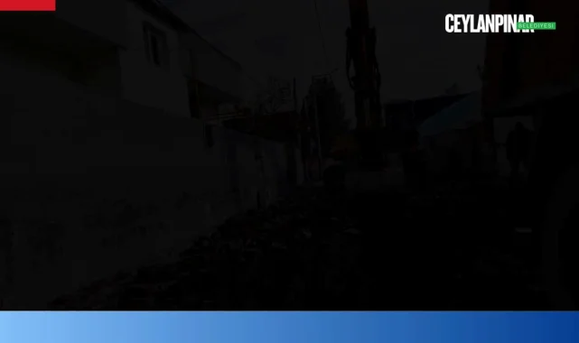 Çınar Belediyesi Cumhuriyet Mahallesi'nde Parke Taşı Çalışmalarını Başlattı