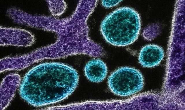 DSÖ'den Hindistan'daki Nipah Virüsü İçin Acil Araştırma Çağrısı