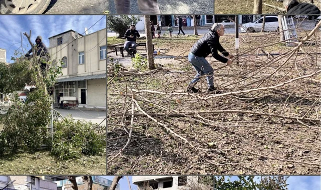 Eyyubiye Belediyesi Ağaçlarda Budama Çalışmalarına Devam Ediyor