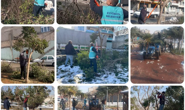 Eyyubiye Belediyesi Parklarda Ağaç Budama Çalışmalarını Sürdürüyor