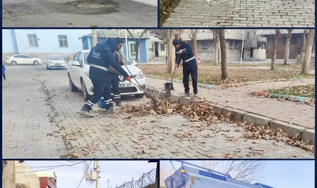Eyyubiye Belediyesi Temizlik Çalışmalarıyla Mahalleleri Temizliyor