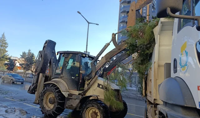 Haliliye'de Kar Hasarı Oluşturan Ağaçlara Müdahale Edildi