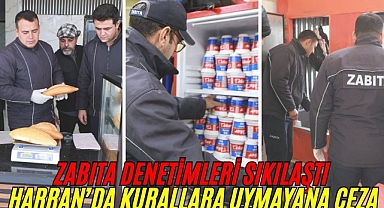 Harran'da Zabıta Ekiplerinden Kapsamlı Denetim