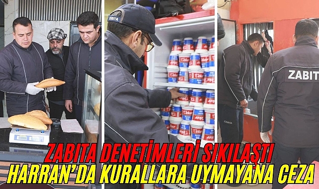 Harran'da Zabıta Ekiplerinden Kapsamlı Denetim