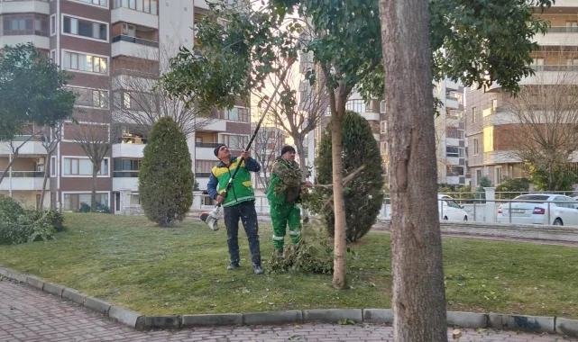Karaköprü Belediyesi Yeşil Alanlarda Planlı Ağaç Budama Faaliyetlerini Sürdürüyor