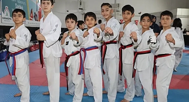 Karaköprü’de taekwondo turnuvası