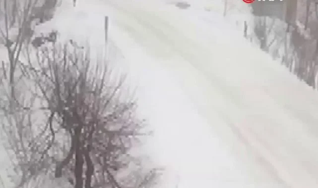 Ordu'da Karlı Yolda Kontrolden Çıkan Tır Uçuruma Yuvarlandı