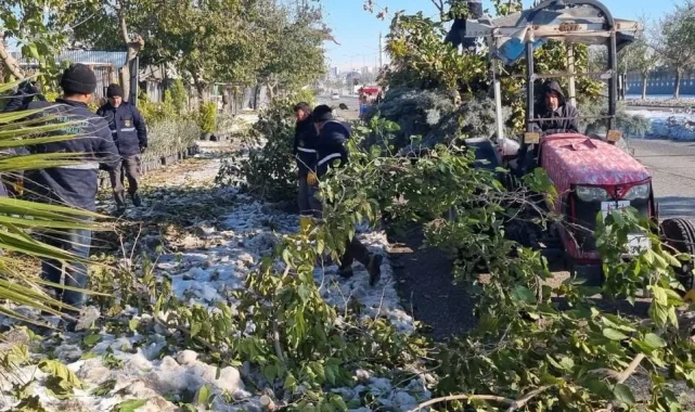 Şanlıurfa Belediyesi Kar Sonrası Temizlik ve Buzlanma Önleme Çalışmalarını Sürdürüyor
