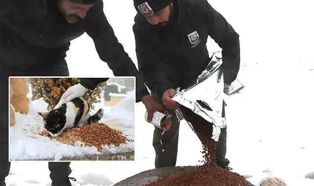 Şanlıurfa Büyükşehir Belediyesi can dostları unutmadı!