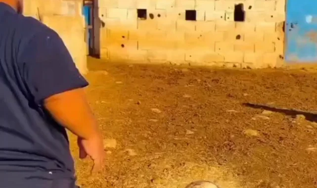 Şanlıurfa'da İnanılmaz Yetenek: Sedat Uçak Tek Atışta Hedefini Vuruyor