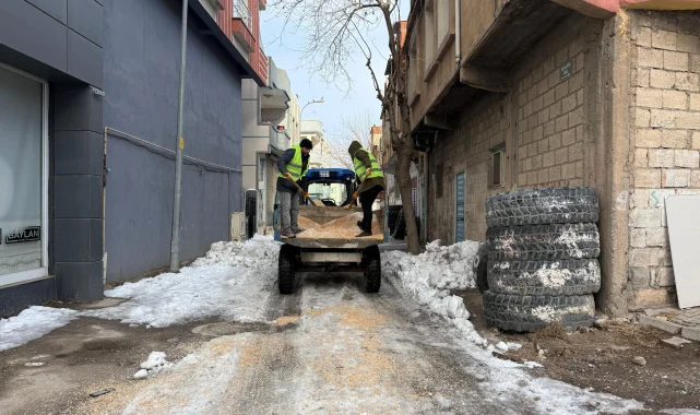 Siverek'te Ulaşımın Aksamaması İçin Tuzlama Çalışmaları Aralıksız Devam Ediyor