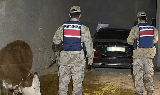 Urfa’da çaldığı otomobili ahırda sakladı! Jandarma buldu!