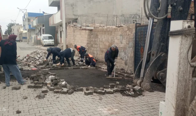 Viranşehir Belediyesi Fen İşleri ekipleri yol çalışmalarına hız verdi