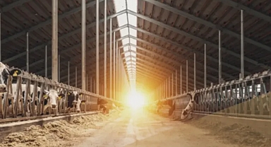 214 projeye dev destek! İşte detaylar...