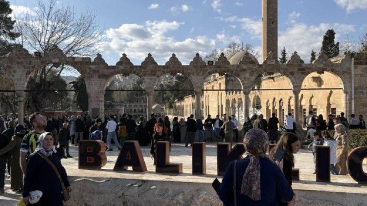 Adıyaman'da Elektrik Kaçağı 8 Büyükbaş Hayvanın Ölümüne Neden Oldu