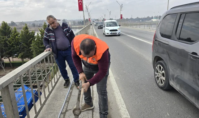 Birecik Köprüsü Aydınlatma Hatları Yenilendi