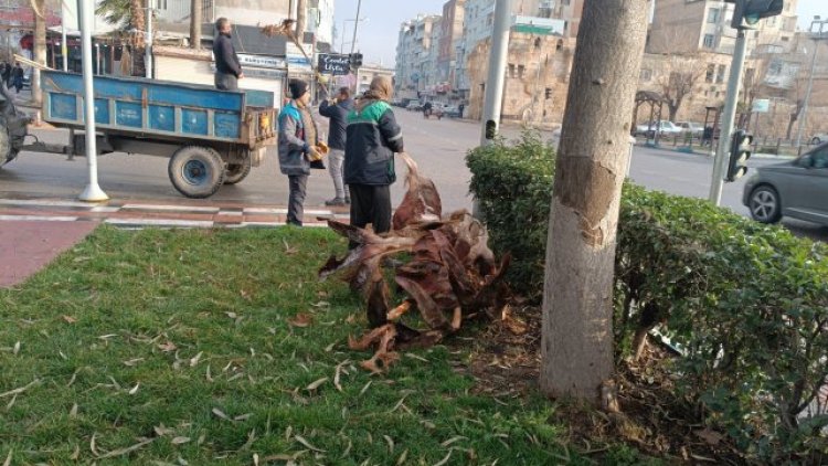 Birecik Parklarında Mevsimlik Bakım ve Düzenleme Çalışmaları Sürüyor