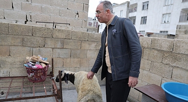 Eyyübiye’de 400 Aileye Büyük Sürpriz