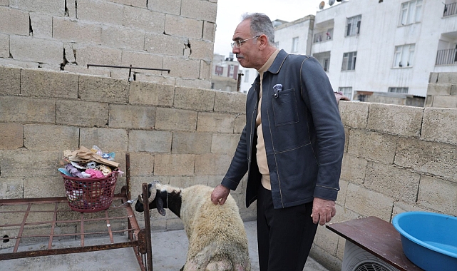 Eyyübiye’de 400 Aileye Büyük Sürpriz