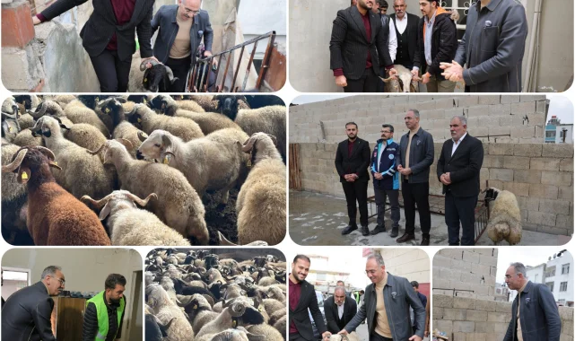Eyyübiye'de 400 Aileye Ramazan Yardımı Ulaştırıldı