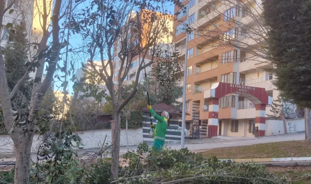 Karaköprü'de Yeşil Alanlar İçin Budama Çalışmaları Başladı