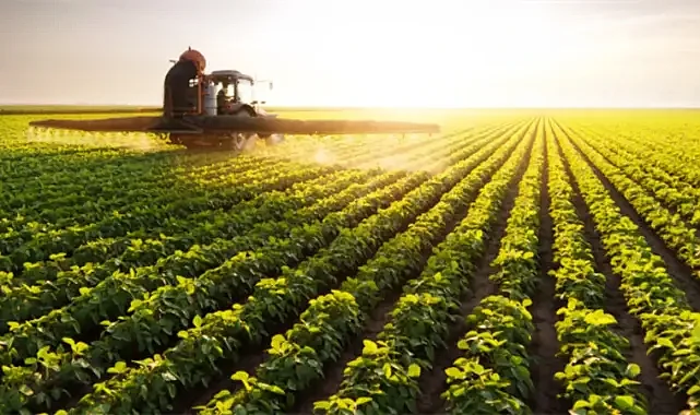 Paralar yatırılıyor! Hesaplarınıza bakmayı unutmayın!