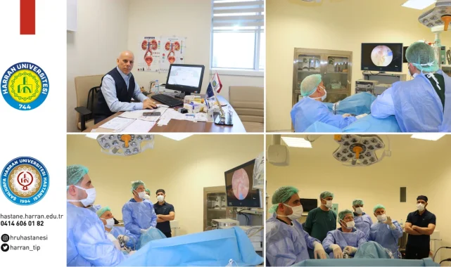 Prostat Tedavisinde Kişiye Özel Yaklaşım ve Thulep Yöntemi