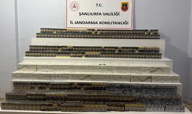 Şanlıurfa'da 70 şüpheli yakalandı!