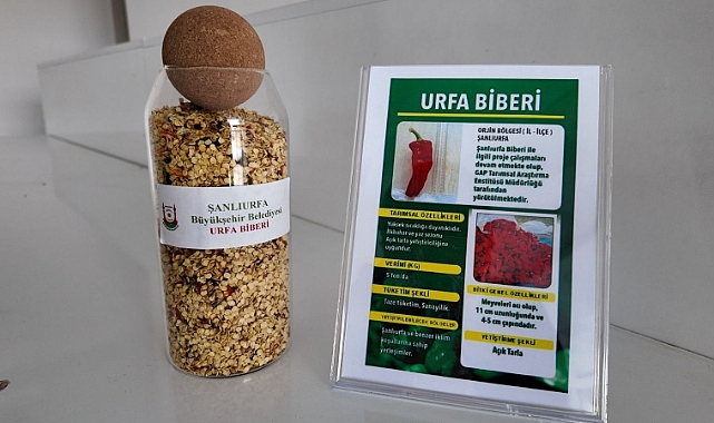 Şanlıurfa’da Ata Tohumları Çiftçilerle Buluşuyor