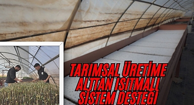 Şanlıurfa’da Modern Seralarda 30 Bin Fidan Üretimi Başladı