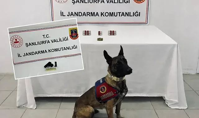 Şanlıurfa’da operasyon! Uyuşturucu ve tabanca ele geçirildi!