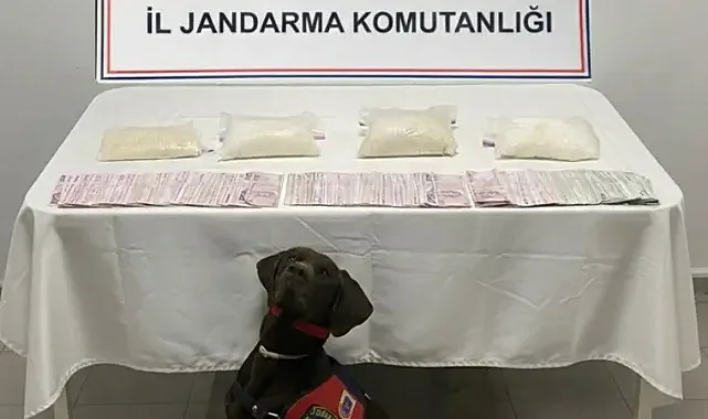 Şanlıurfa’da uyuşturucu ve para ele geçirildi!