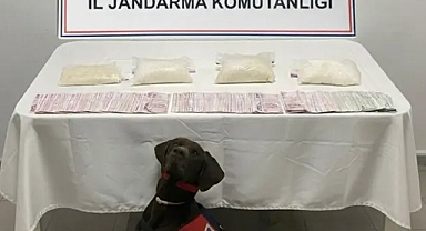 Şanlıurfa’da uyuşturucu ve para ele geçirildi!