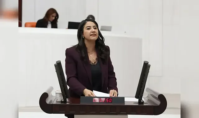 Şanlıurfa Milletvekili Ayan’dan TBMM 'ye Anadili için Meclis Önergesi